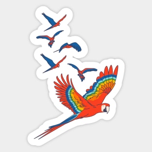 Scarlet Macaw in Flight Sticker